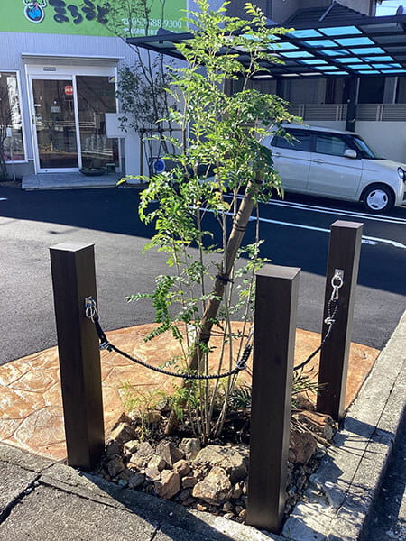 植栽・樹木｜浜松市の外構・エクステリア専門店 まろうど